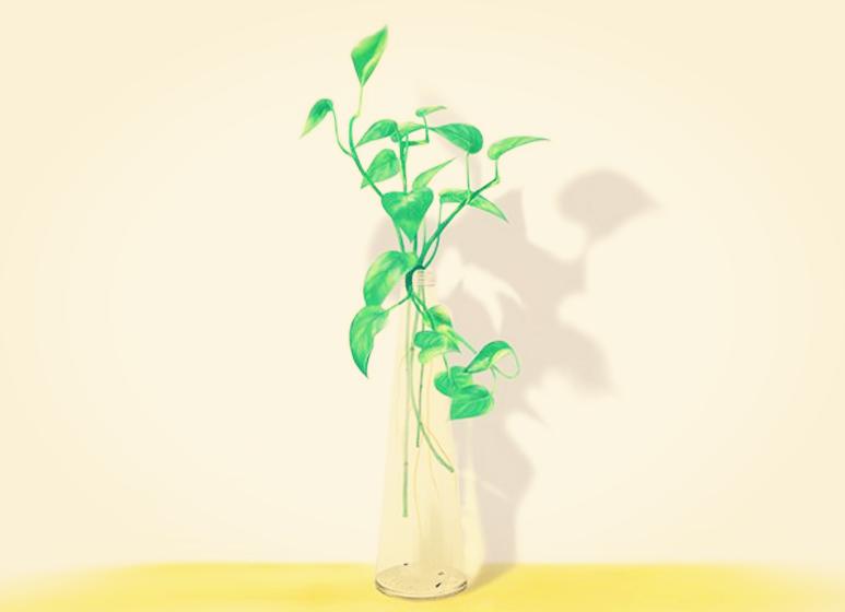 处女座最易被掌握的星座,处女座是最strong的星座