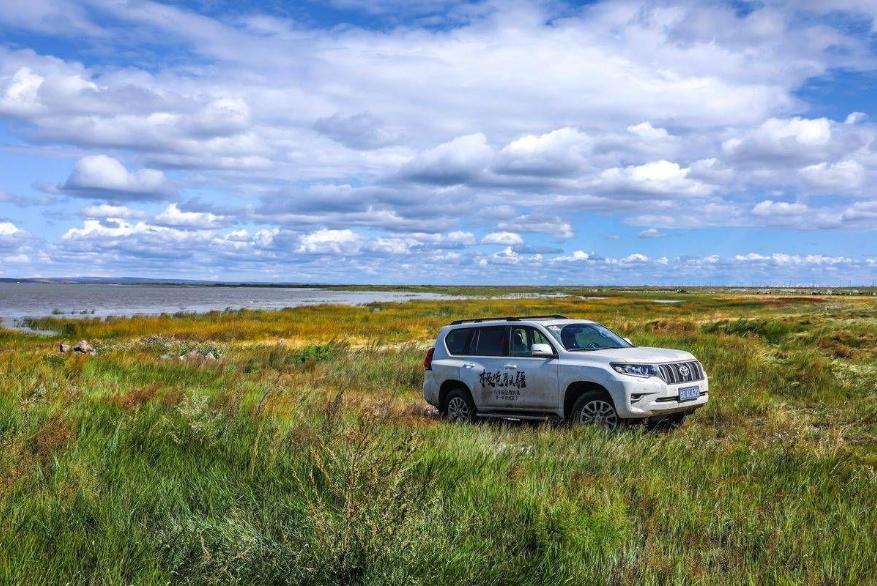 丰田霸道为什么那么耐用,丰田霸道的通病是什么