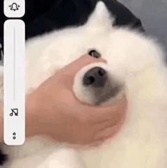 暴饮暴食后怎么补救减肥,暴饮暴食后怎么办四个妙招减肚子