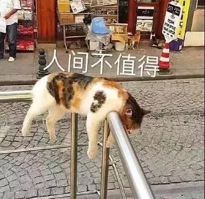 2018年度最后一波空瓶！这个单品我要用到它停产！