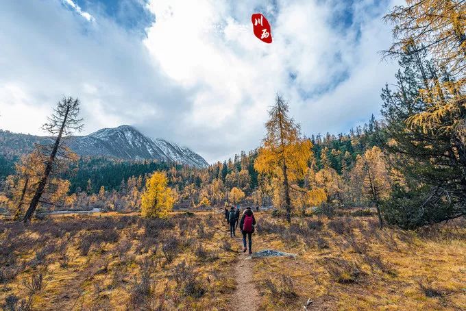 九寨沟什么最美,川西九寨沟最好的风景