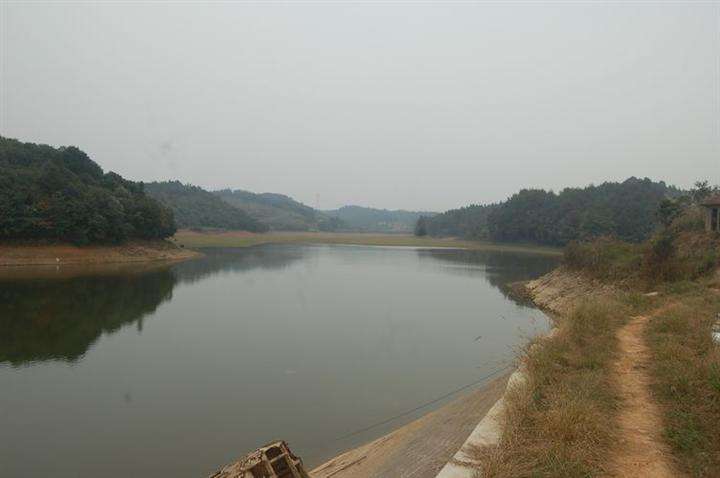 钓鱼技巧简单易记的钓鱼经验口诀,各种钓鱼小技巧