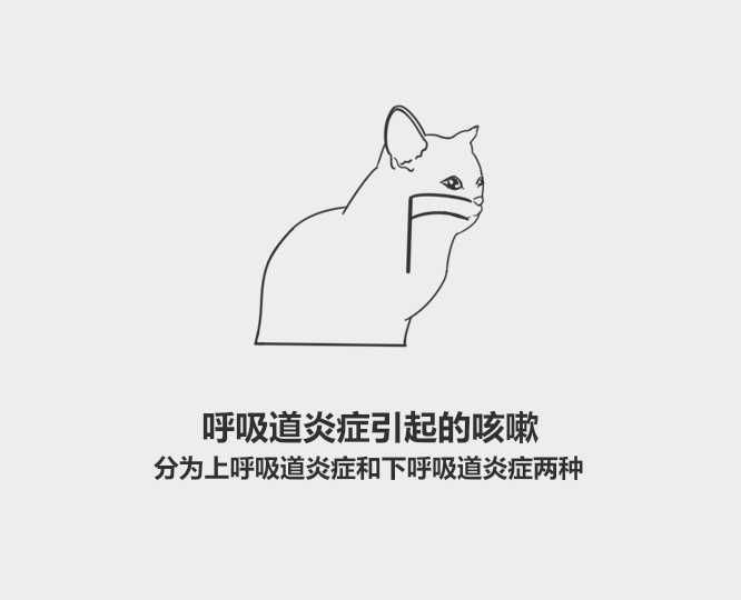 猫咪突然咳嗽几下就好了是怎么了,猫咪老咳嗽或打喷嚏那是什么原因