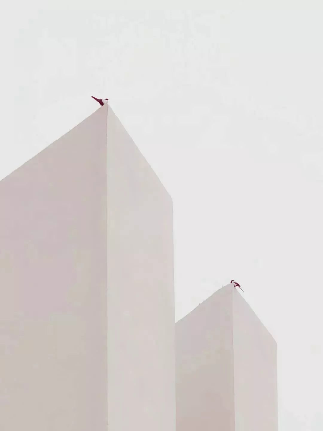 点赞他们的高光时刻,大家用手机拍出过什么好看的照片