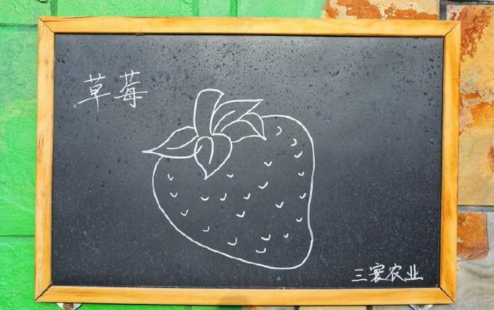 超长记录亲子牧场一日游,暑期草原亲子游攻略