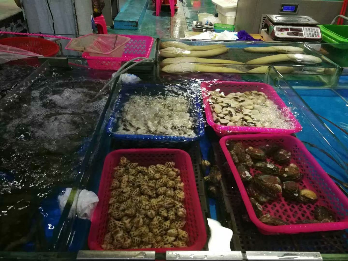 一家人海口旅游攻略,海口一家三口哪里好玩