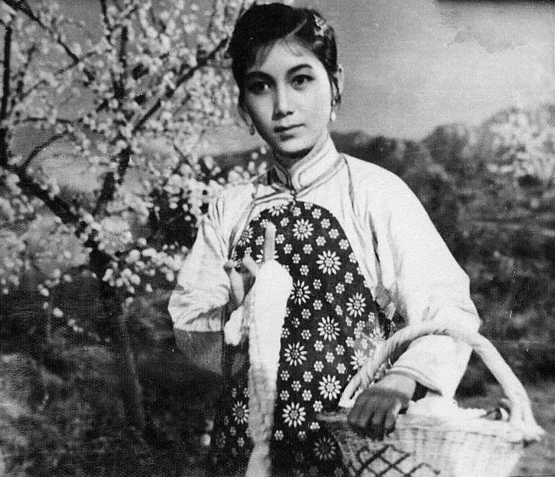 北方有佳人背后真实故事,北方有佳人你永远不知道意外先来