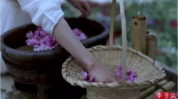 看完李子柒的视频有什么感觉,看李子柒的感想