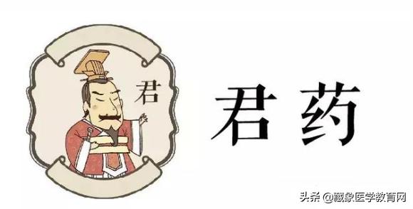中医药的君臣佐使怎么讲解,中医药方君臣佐使的使一般是什么