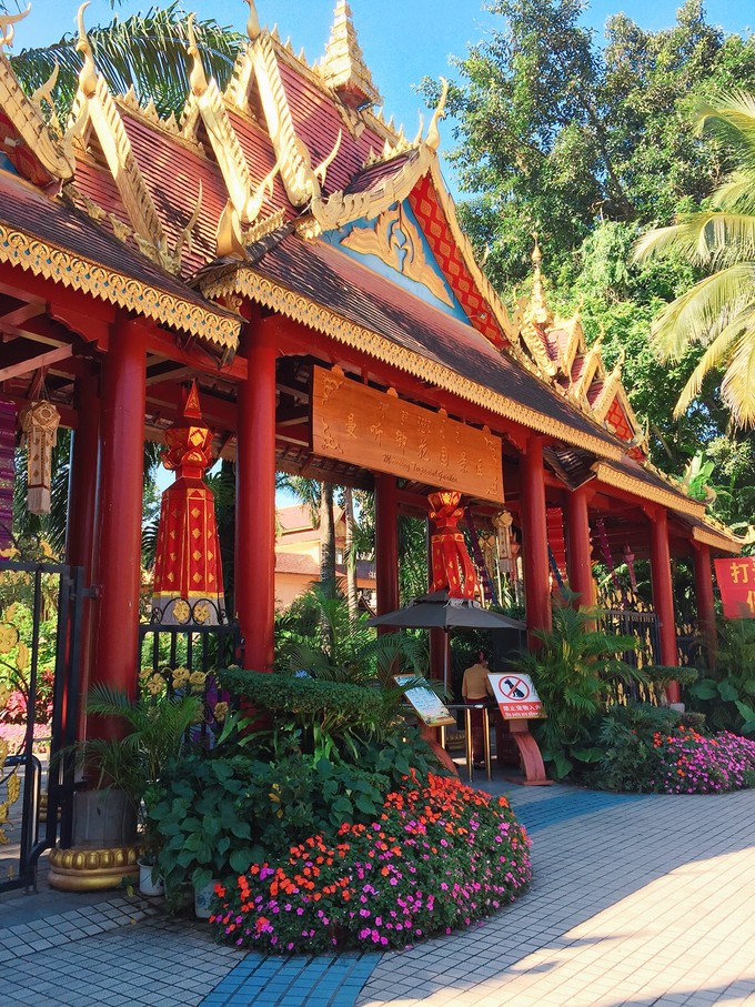 南宁至西双版纳旅游吃住行攻略,云南西双版纳旅游景点攻略自由行