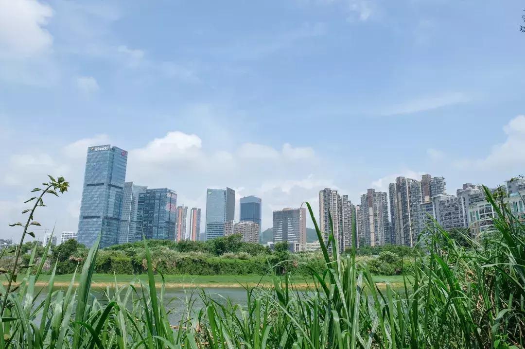 民治片区有未来吗,民治有什么特色