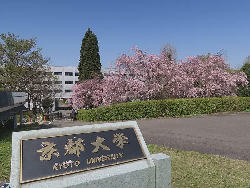 论日本大学:东京大学=清华,京都大学=北大;但最受欢迎:北海道大学