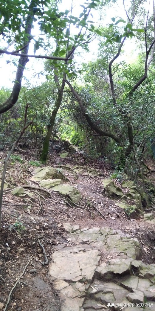 无锡的惠山古镇在哪里,惠山脚下的惠山古镇