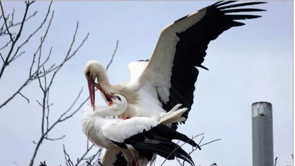 18年感人的爱情故事视频,18年的爱情故事