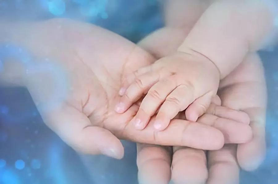 满月那天，病婴在快捷酒店“饿死”，父亲执意放弃治疗，涉嫌故意杀人