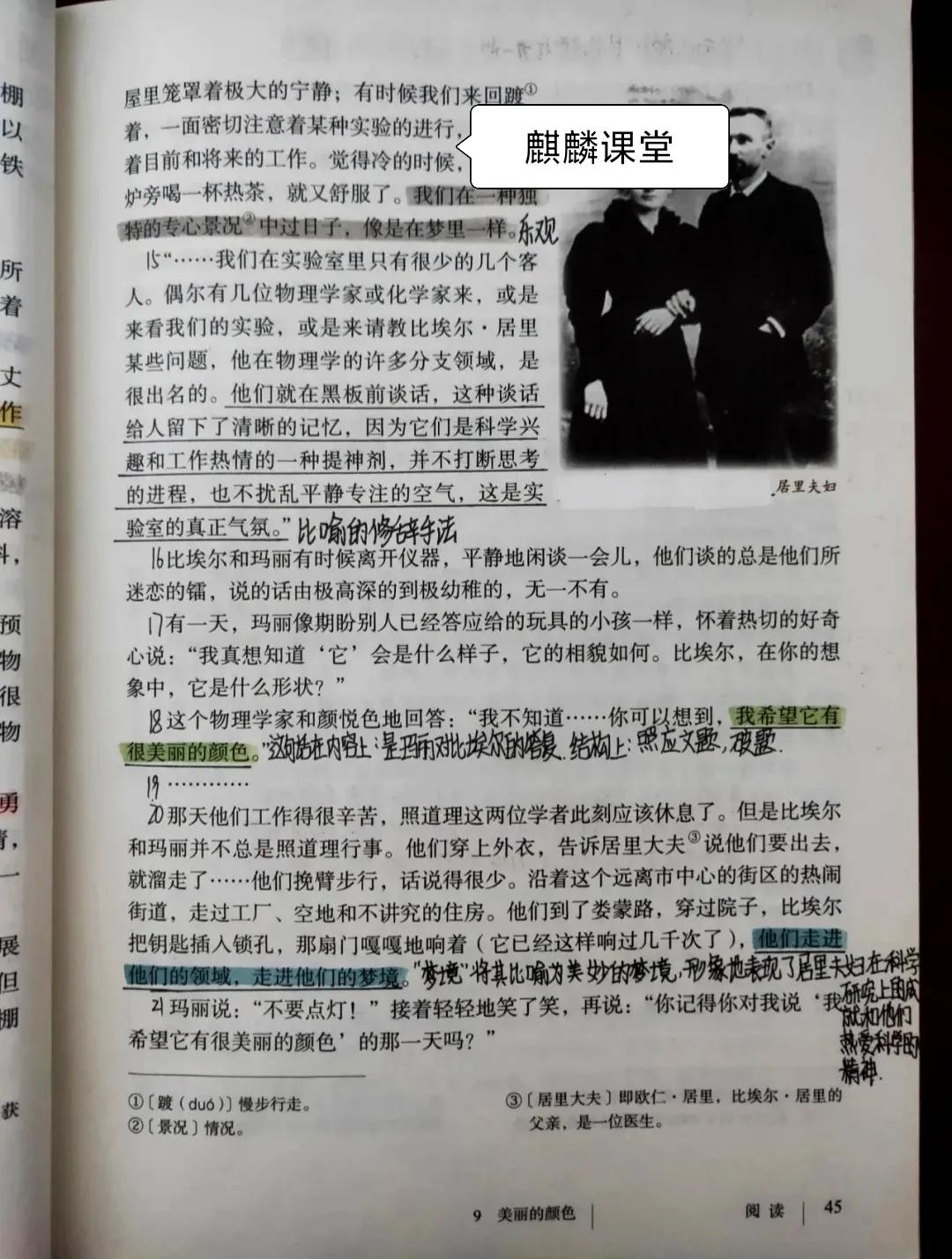 八年级上册第九课美丽的颜色笔记,初二语文上册9课美丽的颜色预习