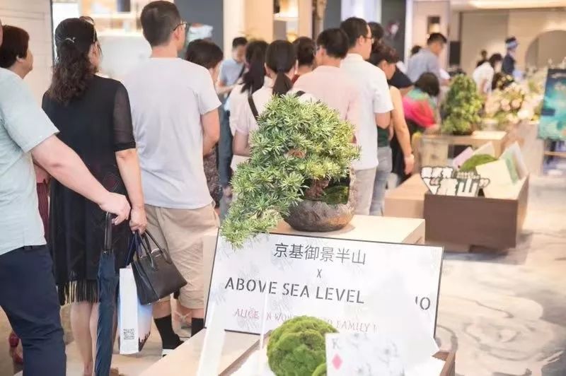 南山科技园发展,南山科技园的崛起