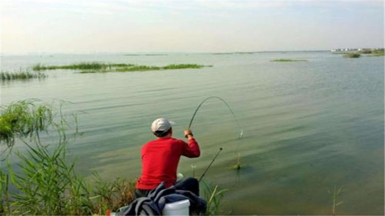 大鱼上钩最简单的方法,大鱼上钩怎么防止脱钩