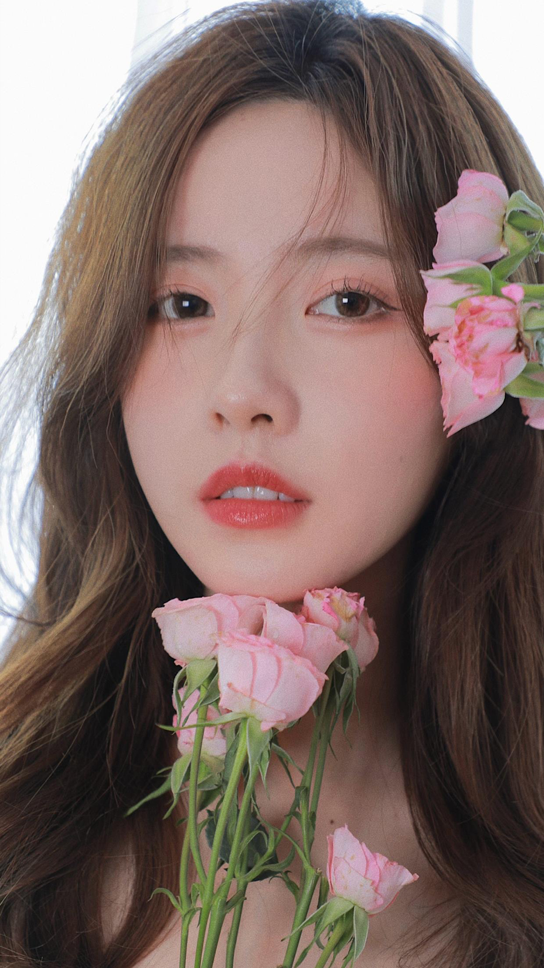 便是人间好时节壁纸,良辰美景好时光手机壁纸