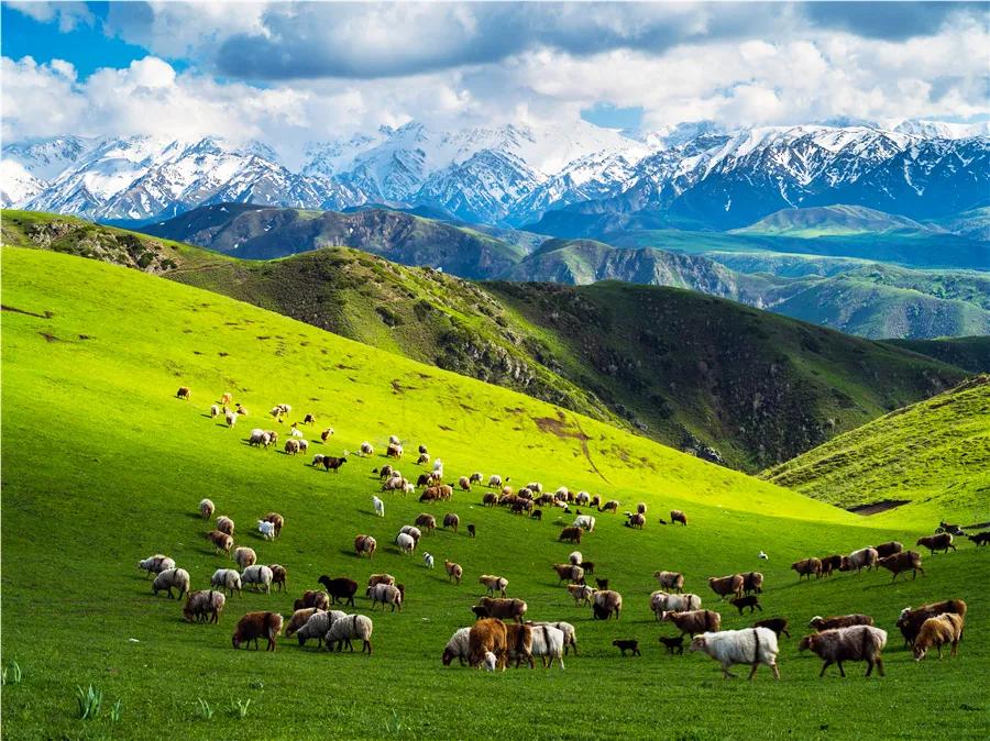 塔城市凉快的公园,塔城地区避暑的地方