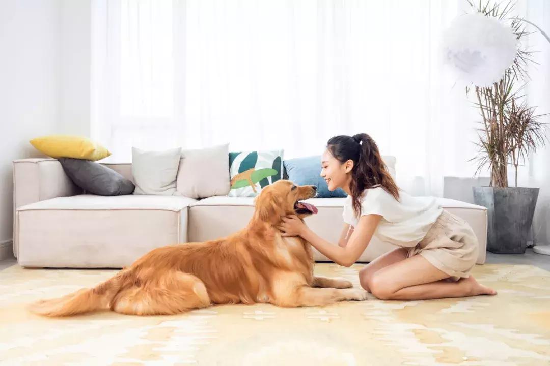 养狗去哪里办狗证,养狗的证件在哪里办重庆