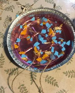 哈尔滨冰雪世界研学,新启元厦门暖冬研学营