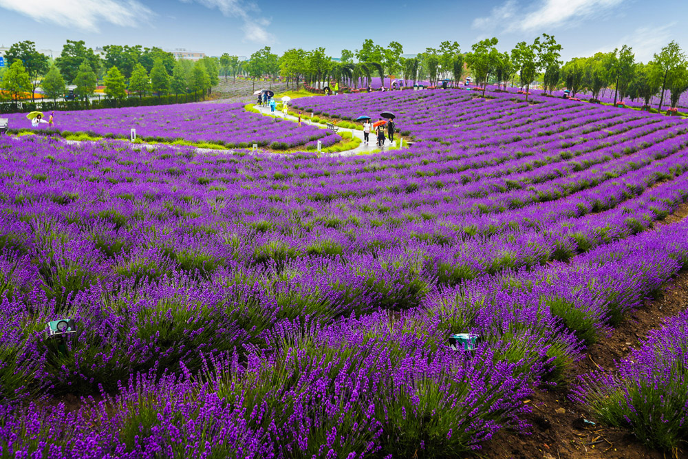 行业第一人怎么炼成,行业第一人叫什么