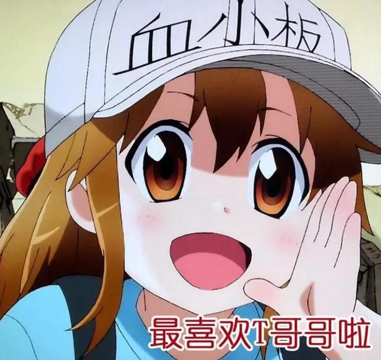 没对比没伤害电视剧,没对比没伤害身高