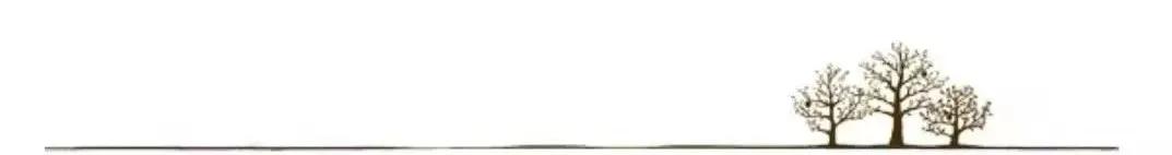 洗衣服能留香的洗衣皂,洗衣服的棉油皂怎么做