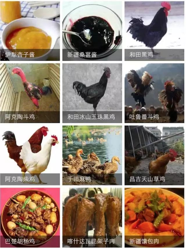 谁整理的新疆特产太全了,新疆特产满疆骆驼奶贝