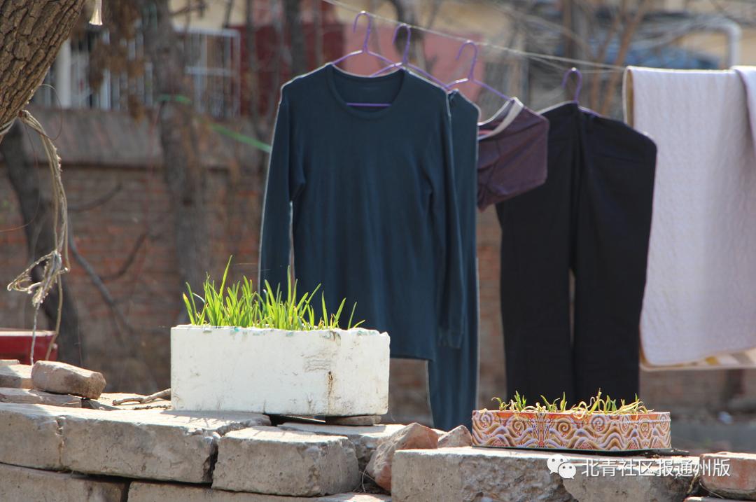 路窄难走、道旁还晾晒衣裳……通州北苑这条“羊肠”小巷啥时能通畅?