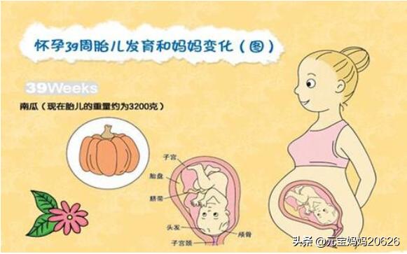 39周胎儿发育标准对照表,宝宝40周妈妈注意什么