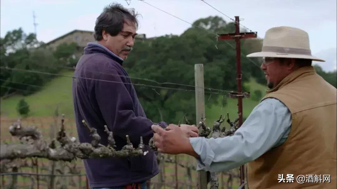 葡萄酒历史纪录片,十部顶级葡萄酒纪录片中英字幕