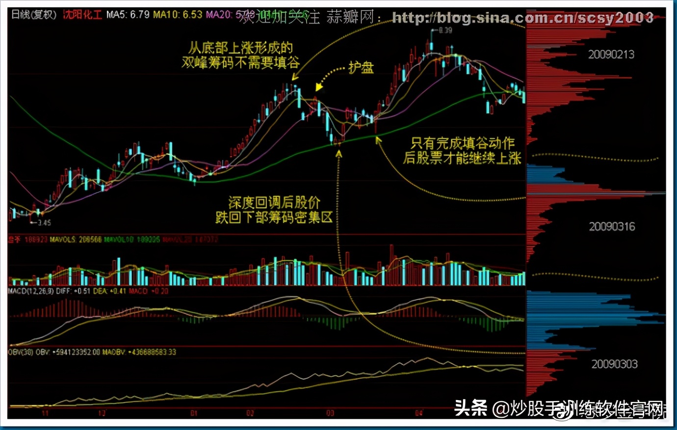 筹码分布图入门与技巧,筹码分布运用详解大全