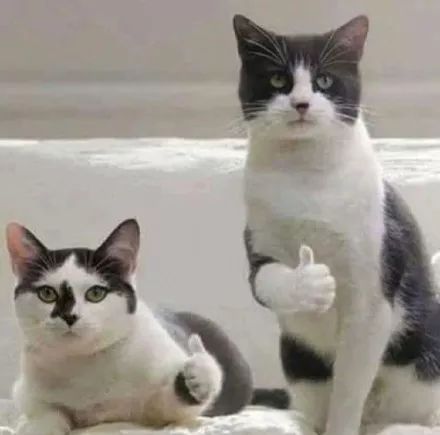 古代的沐浴方式,古代女子沐浴步骤