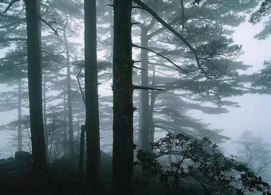 全国十大森林公园,中国十大森林公园