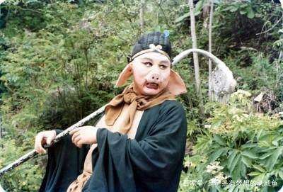 西游记猪八戒最有心机,西游记里最让人看不起的猪八戒