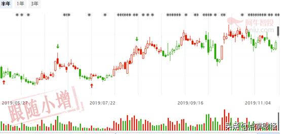 蛟龙出海股票,蛟龙入海股票分析