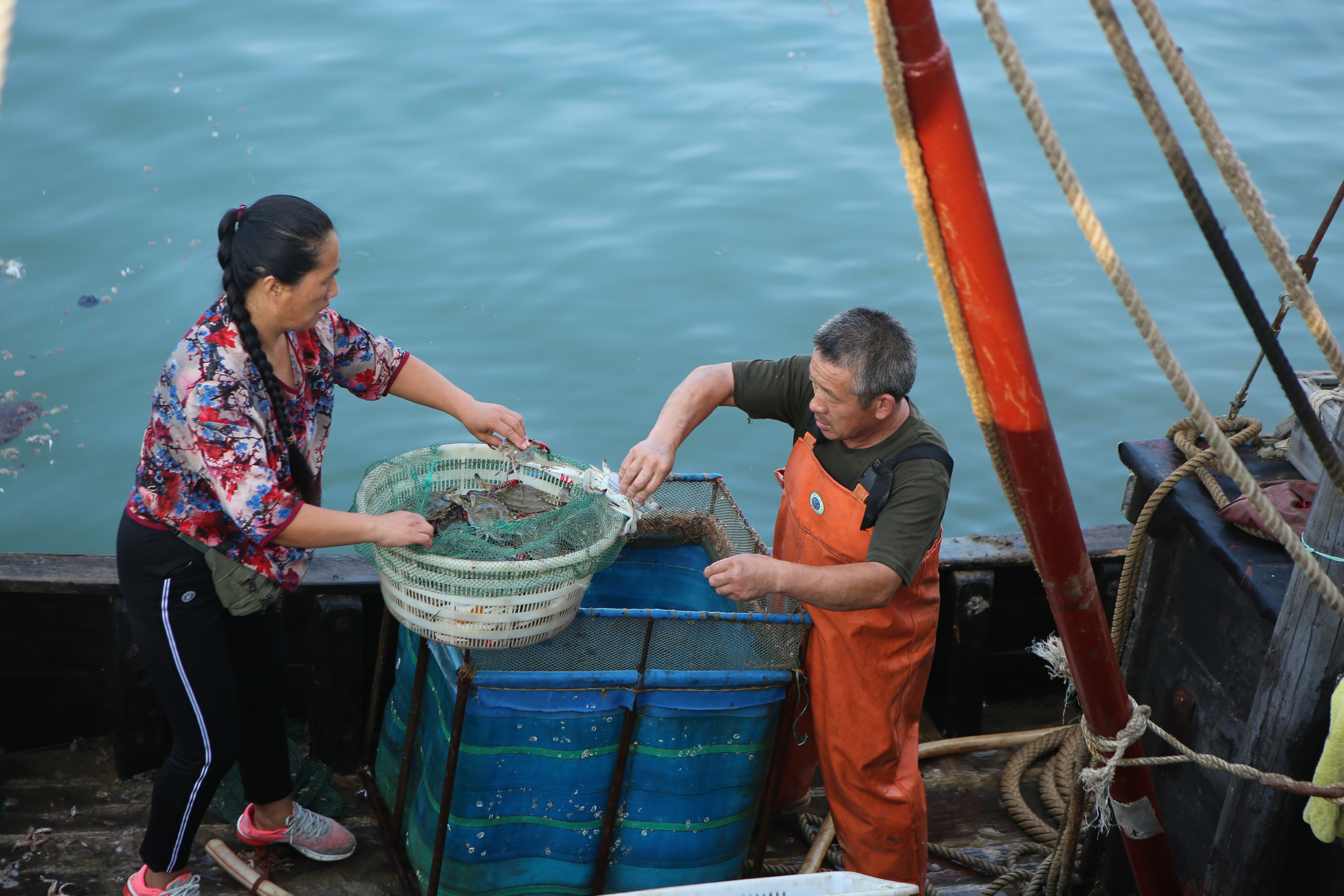 火热民宿,火热的民宿