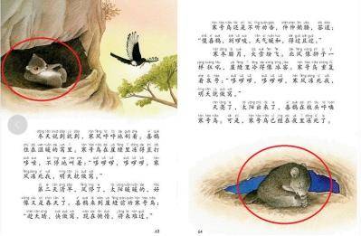 怎样认识语文教科书的地位和作用,如何正确解读部编语文教材