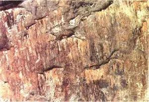 地质知识大全及讲解,地质知识大全讲解