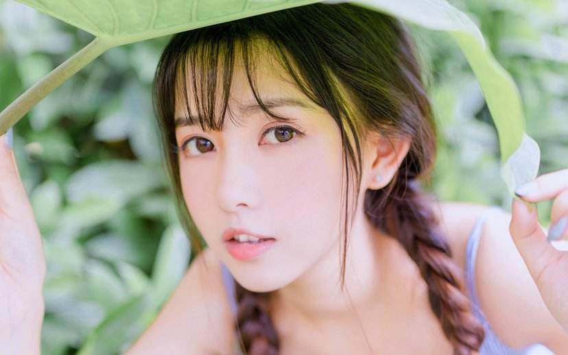 回忆大学母校的优美散文,怀念母校的散文500字