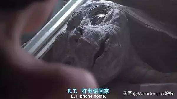 22部电影中值得铭记的那些美句 (10部高分电影经典语录短句)