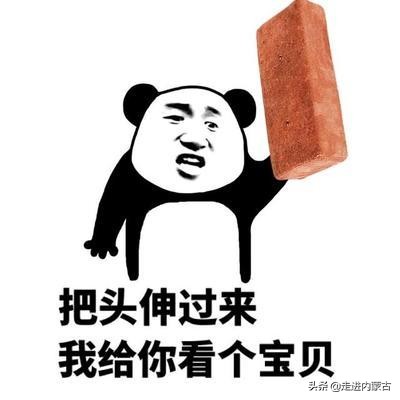 蒙古草原骑马旅游,去草原第一次骑马注意什么