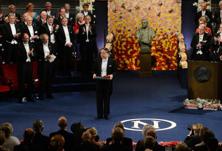 2012年诺贝尔文学奖莫言颁奖词,诺贝尔文学奖莫言2012年10月