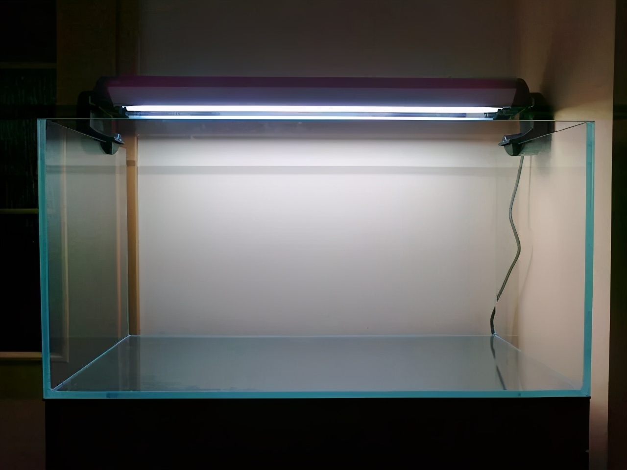 石上的迷你矮+血红宫廷，美的让人心醉