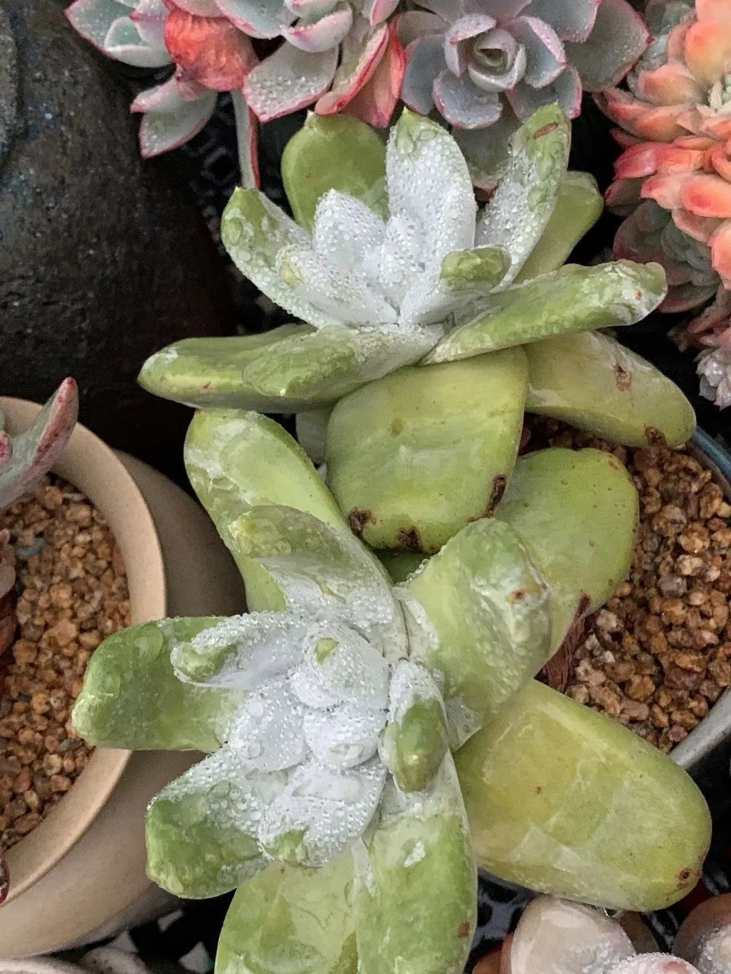 禁足的日子收获颇多,禁足