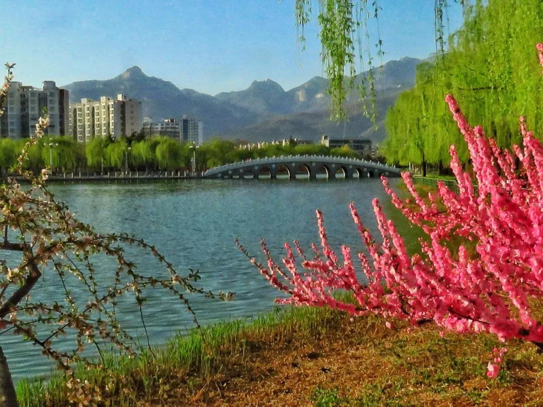 春水初生林初盛春,春水初生林初盛