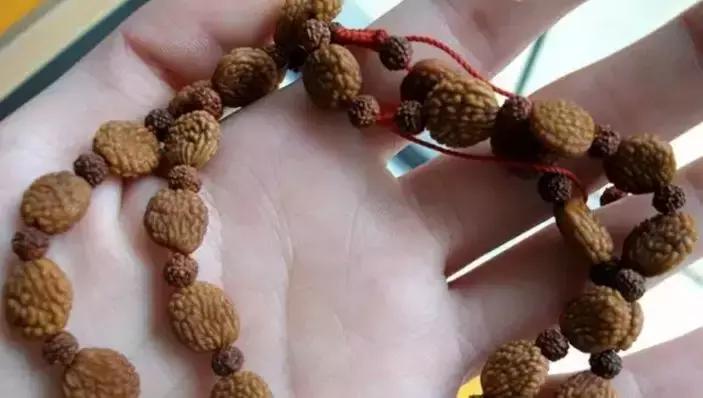 最全的菩提子图解太美了,最好的菩提子