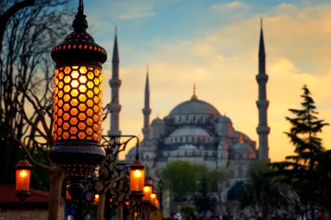 土耳其清真寺旅游攻略,土耳其总统府旅游攻略